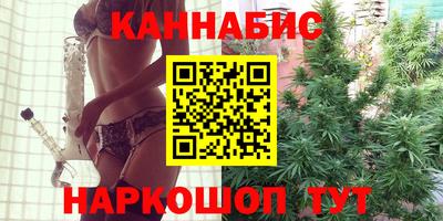 спайс Кингисепп