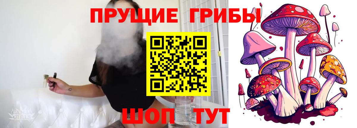 Галлюциногенные грибы Psilocybe Комсомольск-на-Амуре